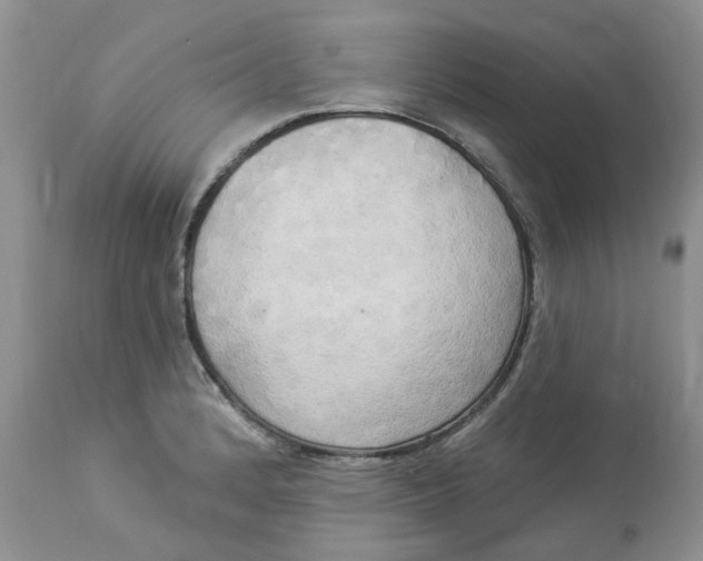 X0000112821184200909111315