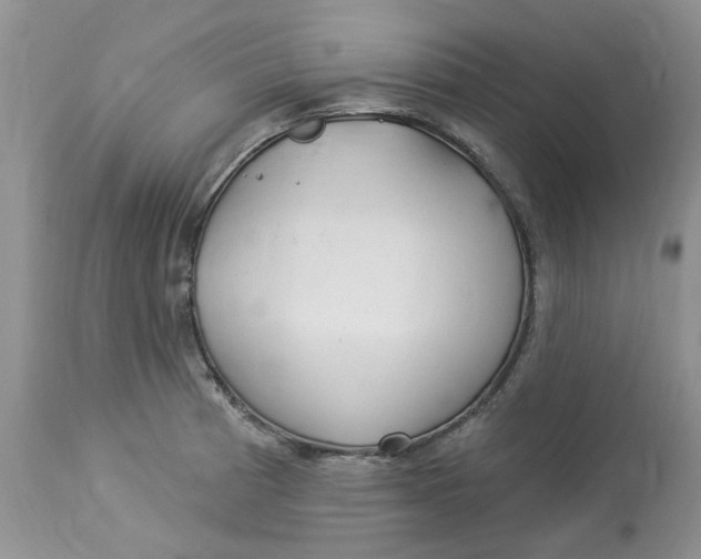 X0000112821185200909111315