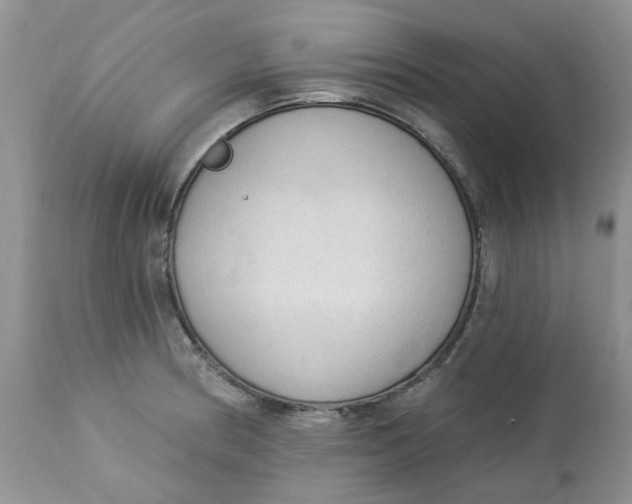 X0000112821186200909111315