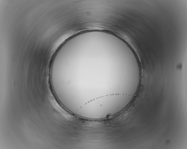 X0000112821187200909111315