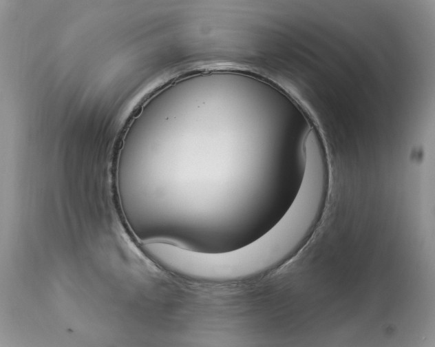 X0000112821189200909111315