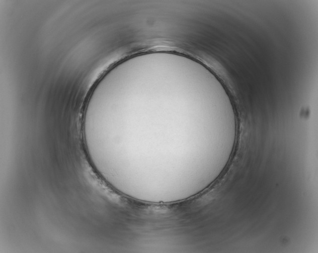 X0000112821190200909111315