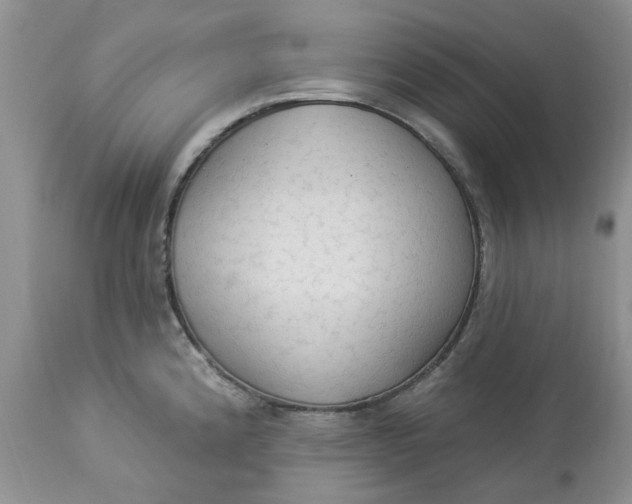 X0000112821192200909111315