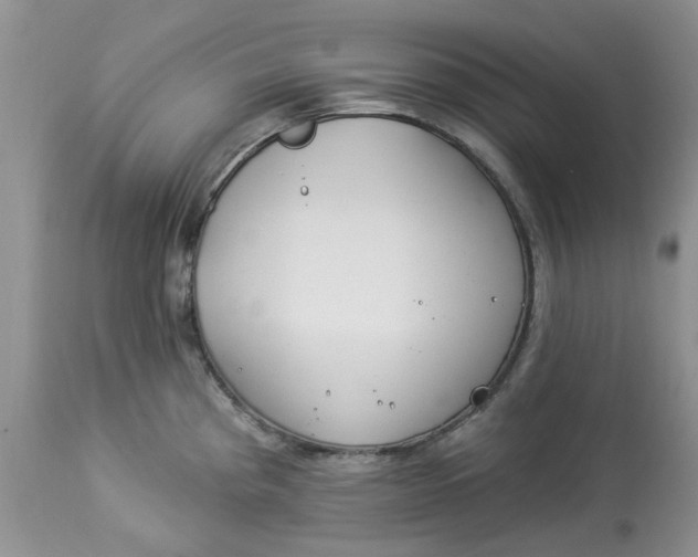 X0000112821193200909111315