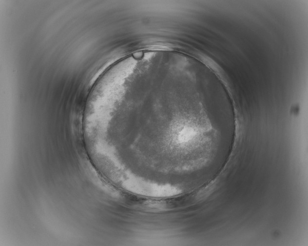 X0000112821194200909111315