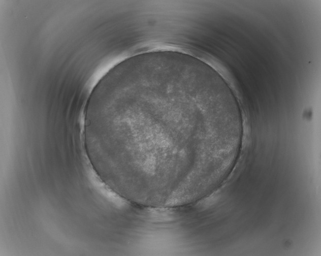 X0000112821198200909111315