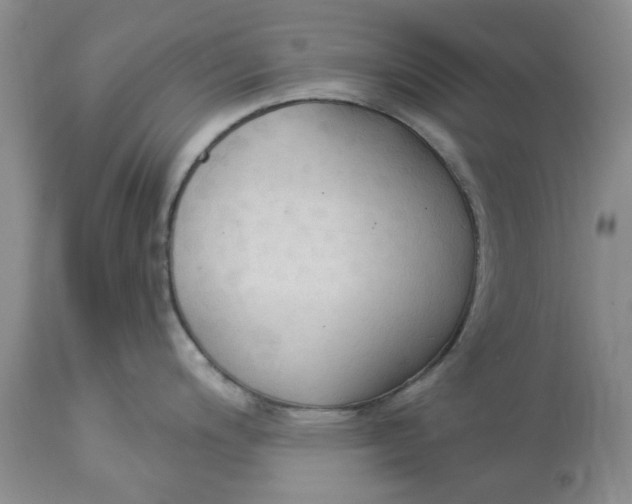 X0000112821200200909111315