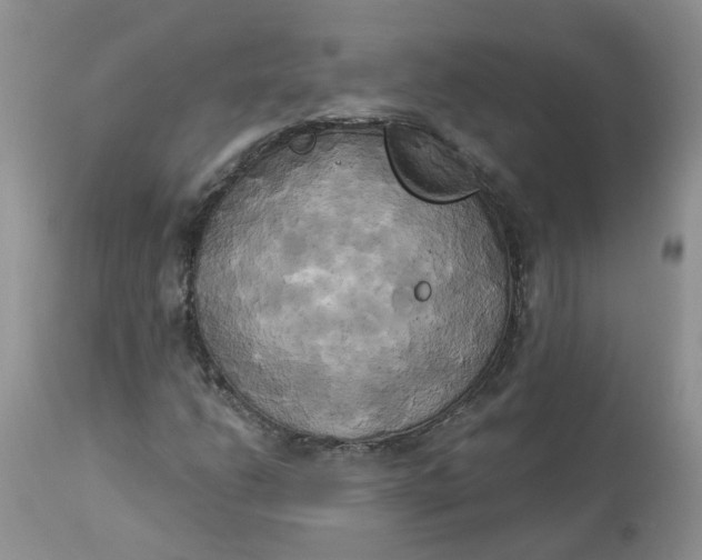 X0000112821206200909111314