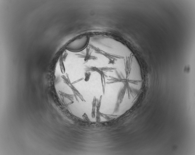 X0000112821208200909111314