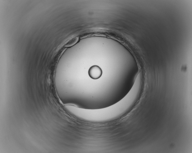 X0000112821209200909111314