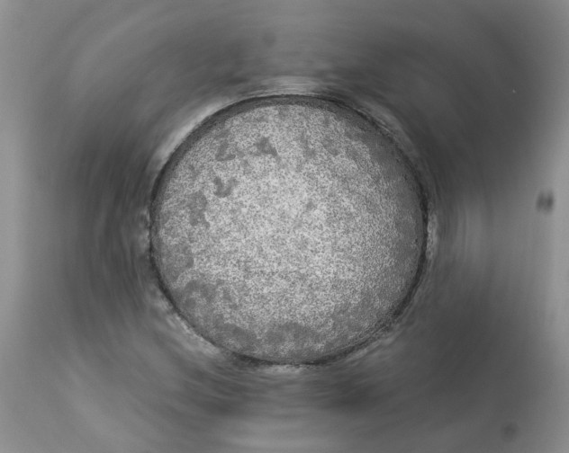 X0000112821212200909111314