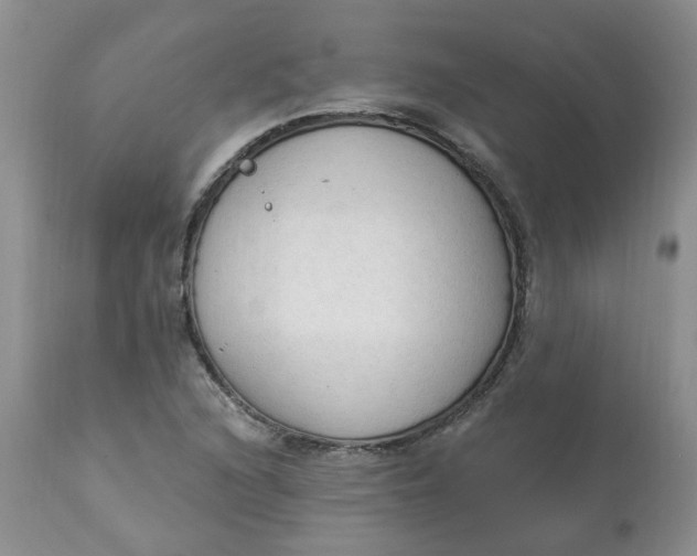 X0000112821216200909111314