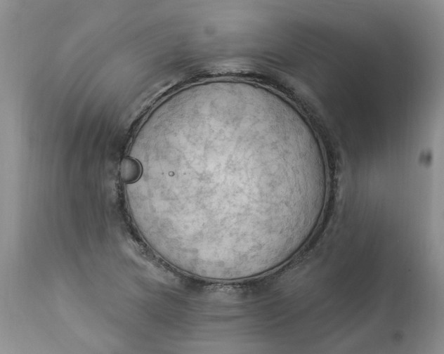 X0000112821217200909111314