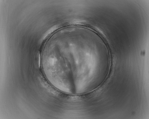 X0000112821219200909111315