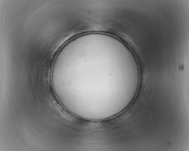 X0000112821220200909111315