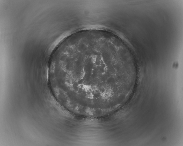 X0000112821221200909111315