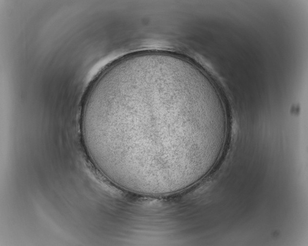 X0000112821222200909111315