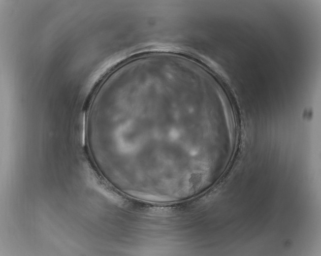 X0000112821223200909111315