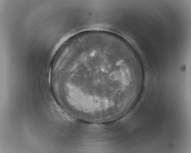 X0000112821224200909111315