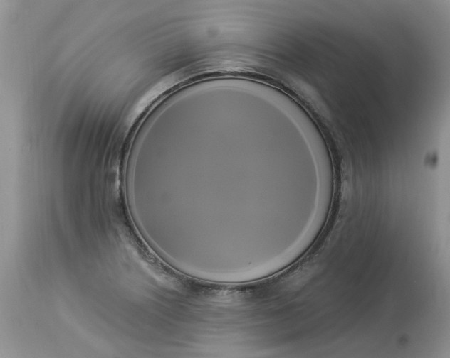 X0000112821226200909111315