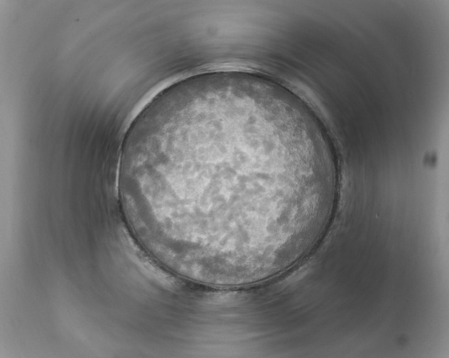 X0000112821228200909111315