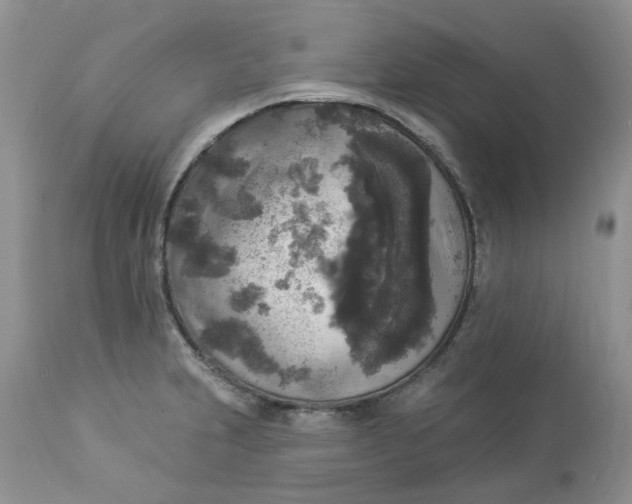 X0000112821231200909111315