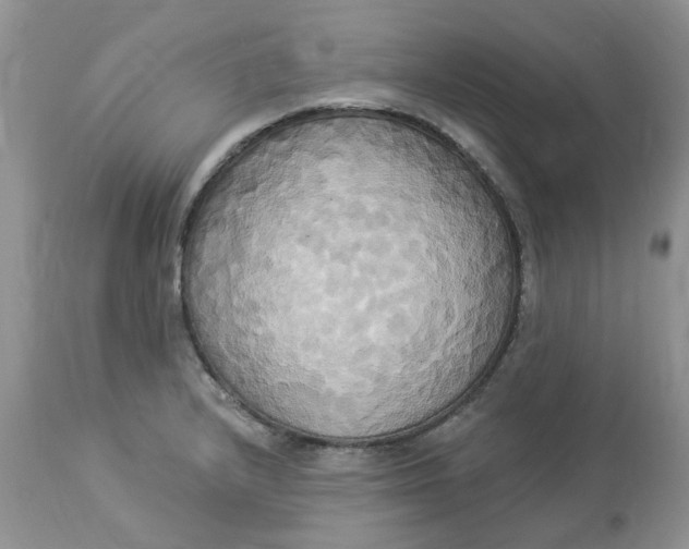 X0000112821232200909111315