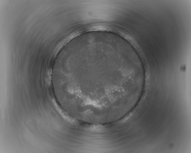 X0000112821233200909111315