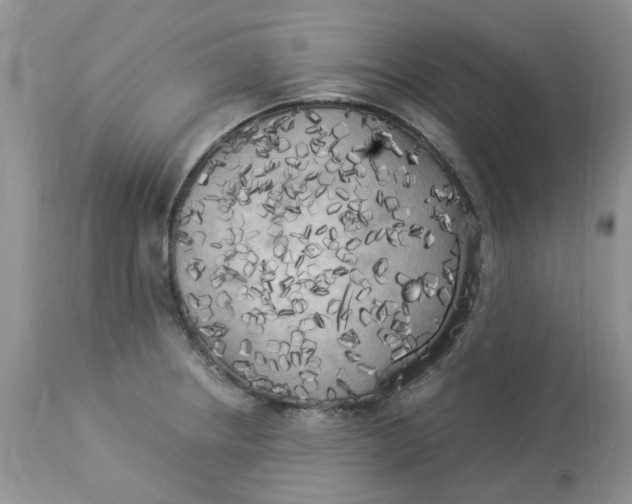 X0000112821234200909111315