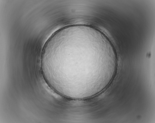 X0000112821236200909111315