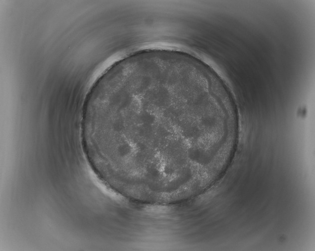 X0000112821237200909111315