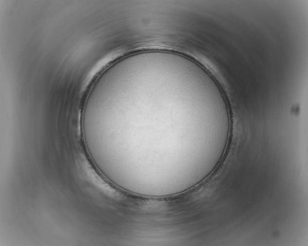 X0000112821238200909111315