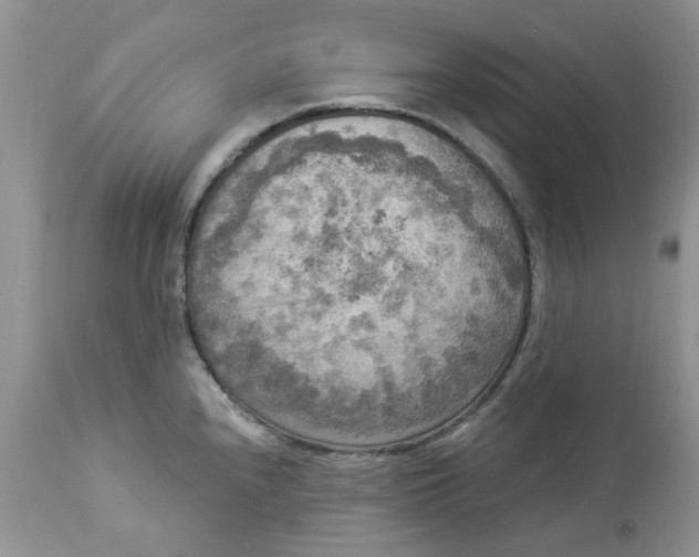 X0000112821240200909111315