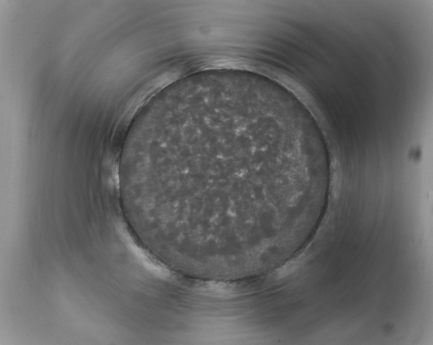 X0000112821241200909111315