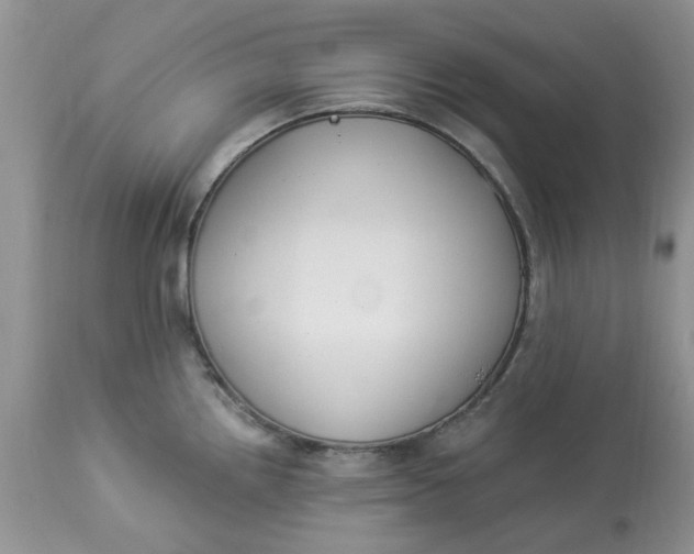 X0000112821242200909111315