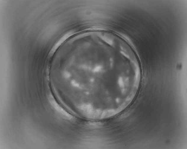 X0000112821243200909111315