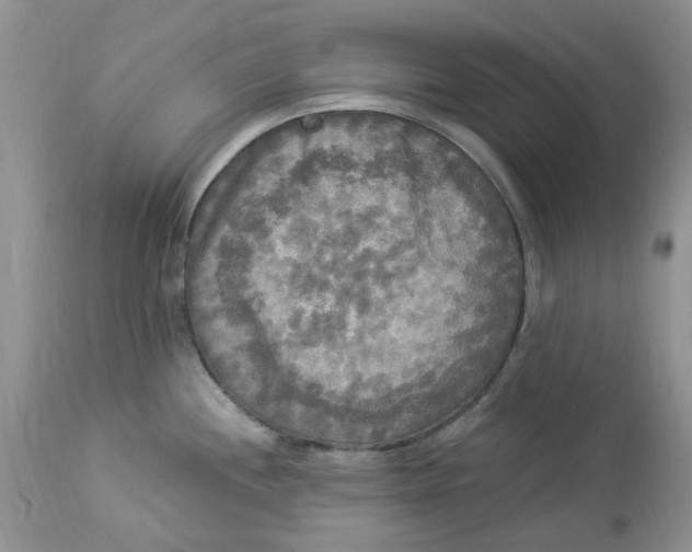 X0000112821244200909111315