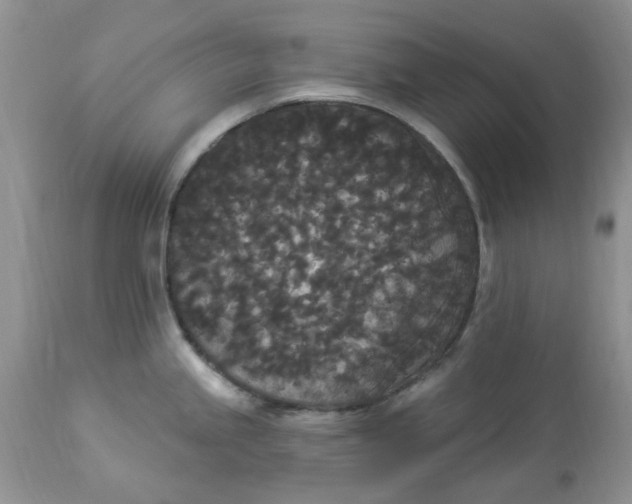 X0000112821245200909111315