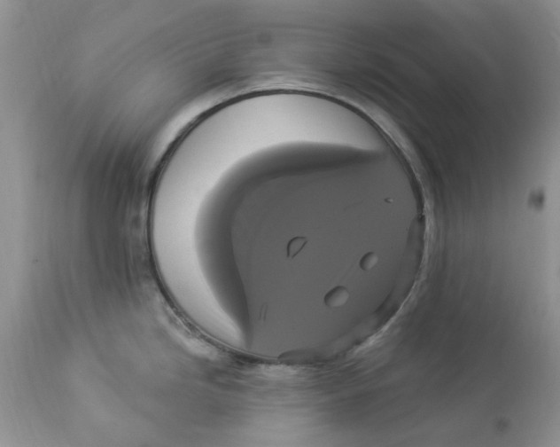 X0000112821246200909111315