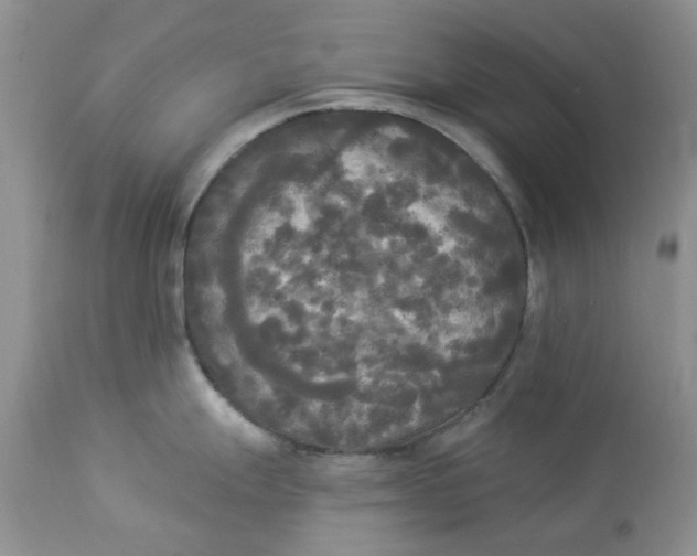 X0000112821247200909111315