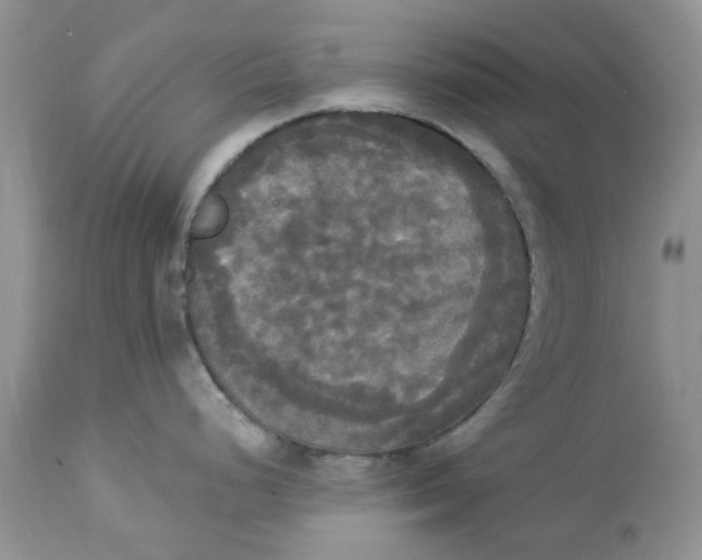 X0000112821248200909111315