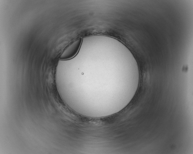 X0000112821250200909111314