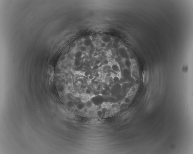 X0000112821251200909111314