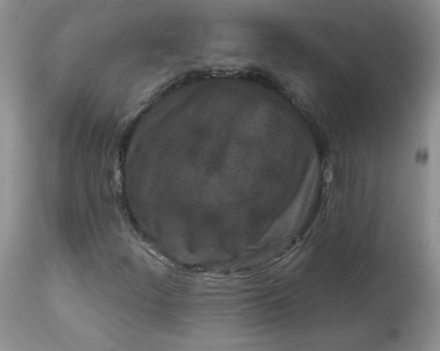 X0000112821252200909111314