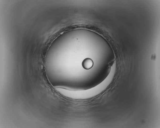 X0000112821253200909111314