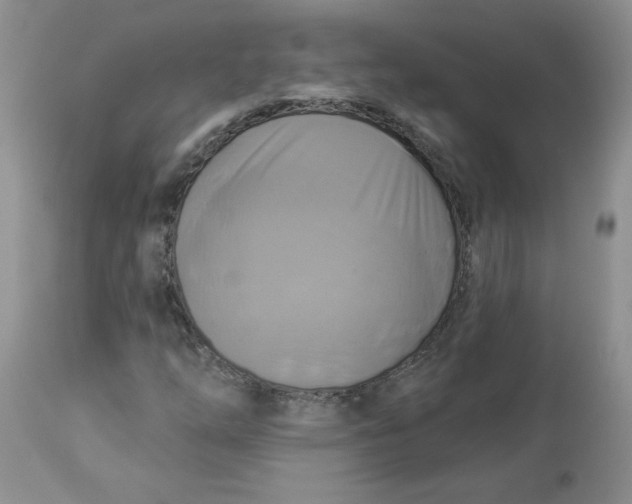 X0000112821254200909111314