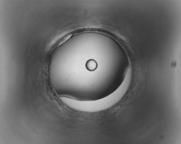 X0000112821255200909111314