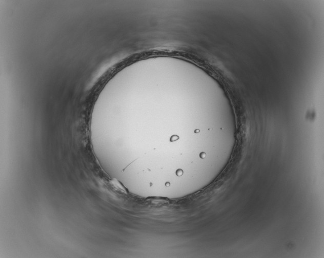 X0000112821256200909111314