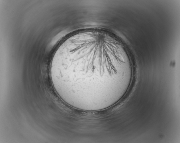 X0000112821259200909111314