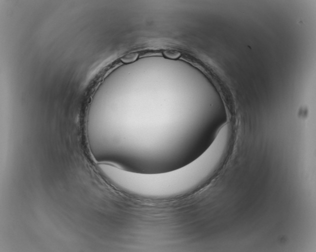 X0000112821261200909111314